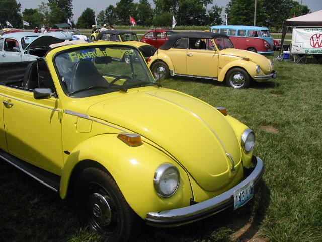 IMG_8486.JPG